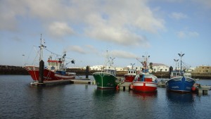 Les bateaux de pêche de la Graciosa sont les plus jolis et les mieux entretenus que nous ayons vu