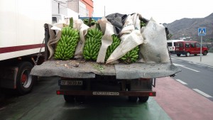 A la, usine de bananes 