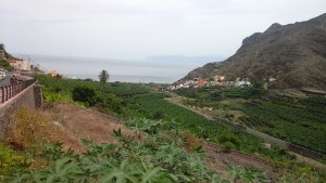 Hermigua, un jardin de cocagne 