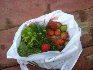 Une cueillette de litchees sur le bord du chemin 